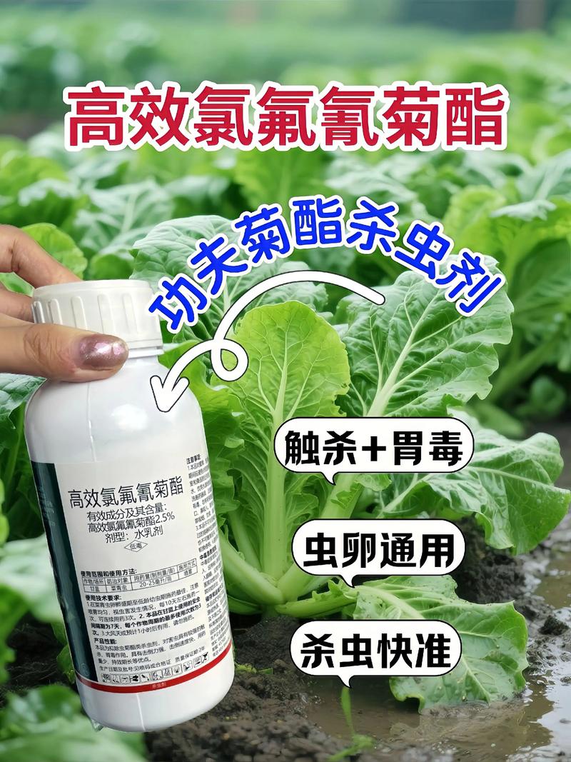 漳州代生中心:农药对供卵代生妈妈的危害